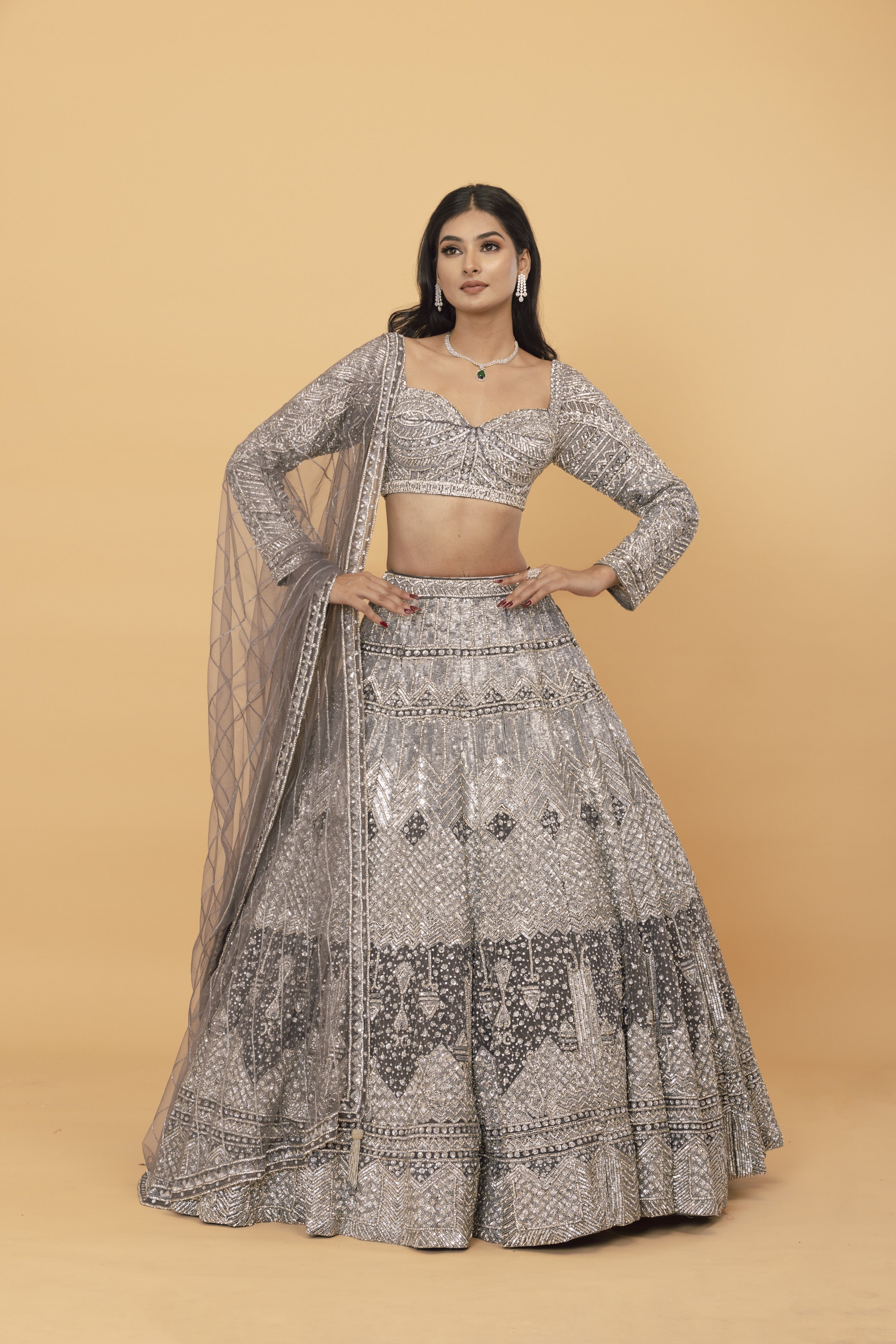 Silver Net lehenga
