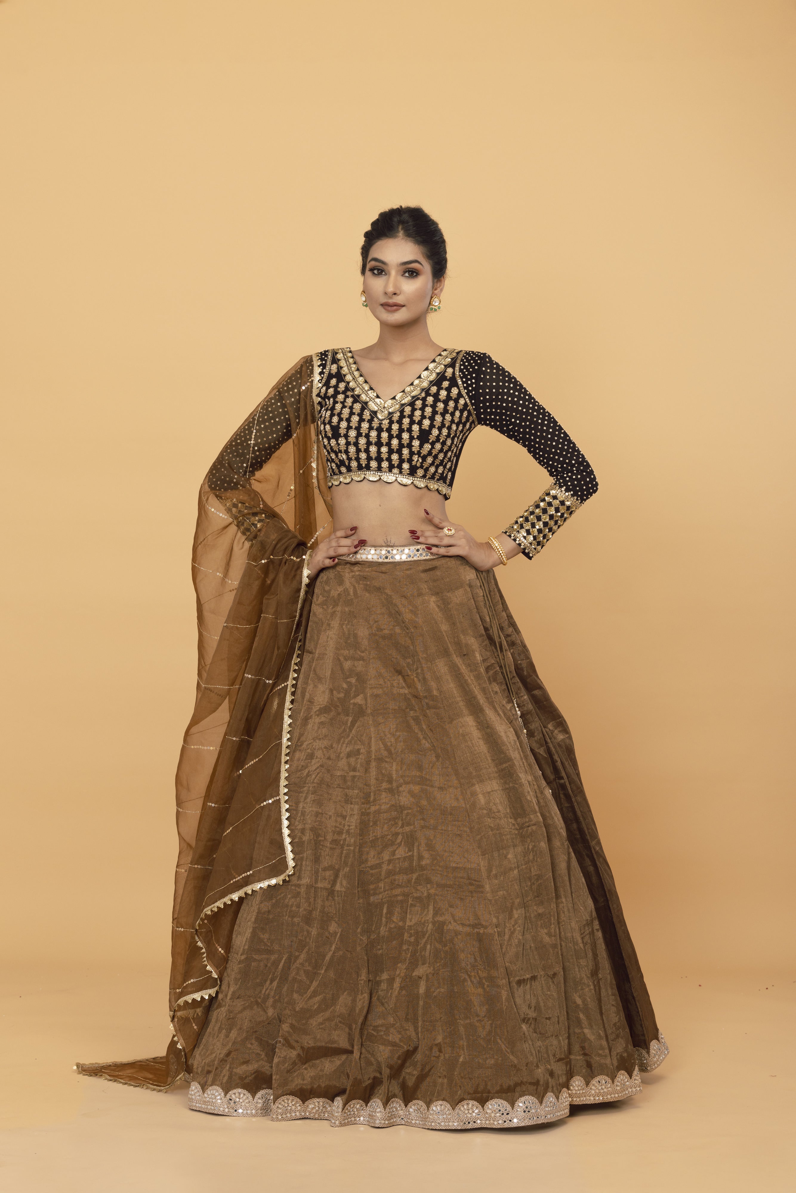 Brown tissue lehenga
