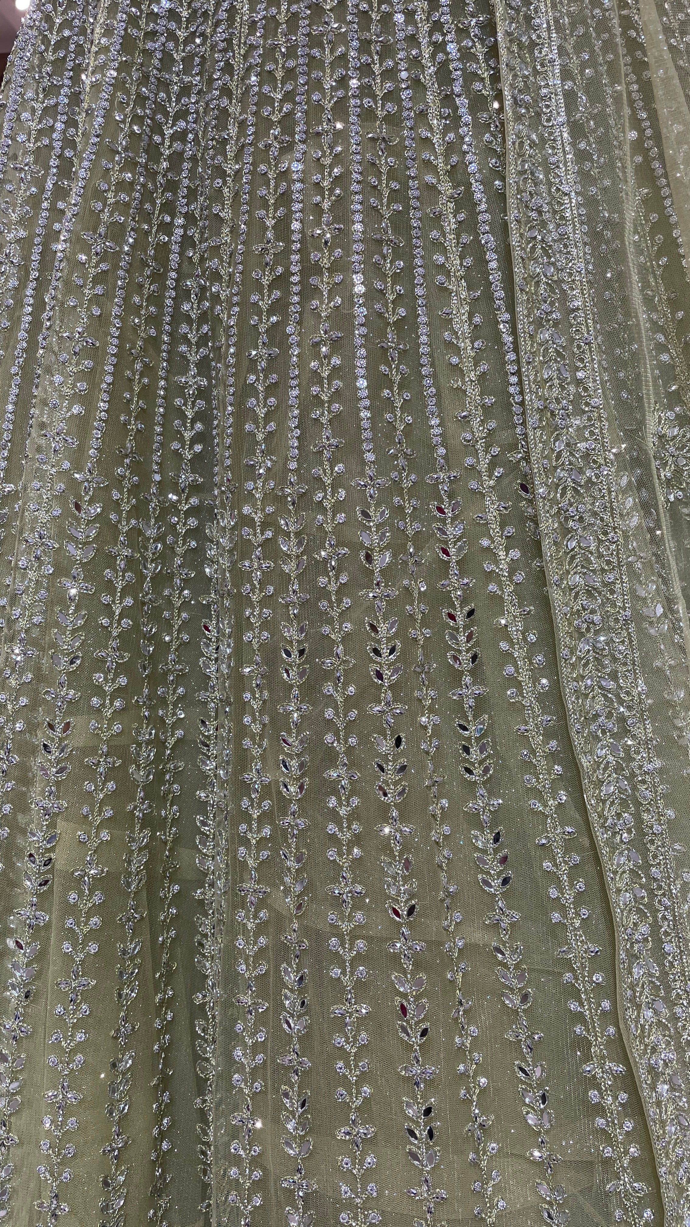 Pastel green net lehenga with silver embellishments