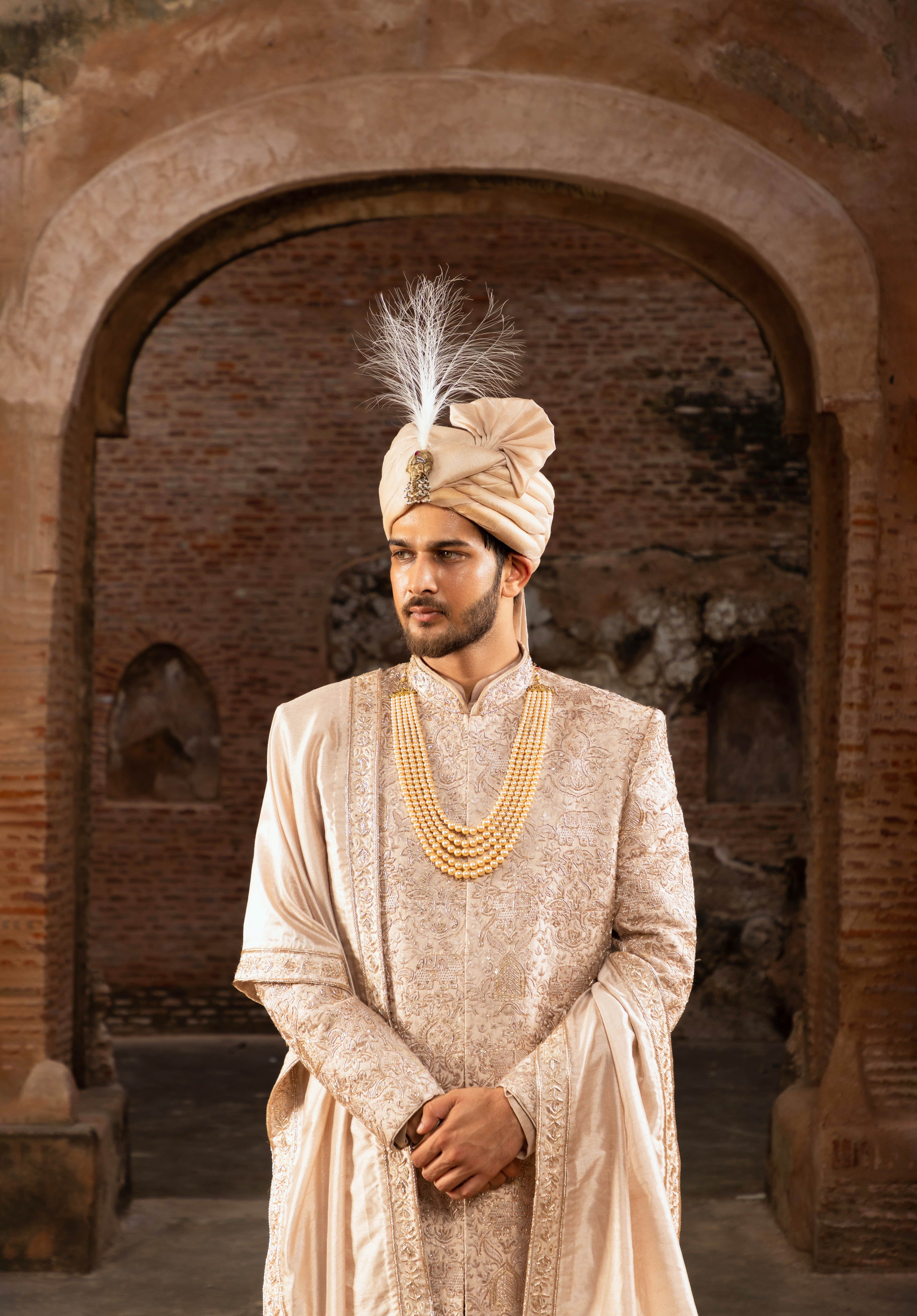 Regal Silk Base Sherwani with Hand Embroidery (Sherwani set)