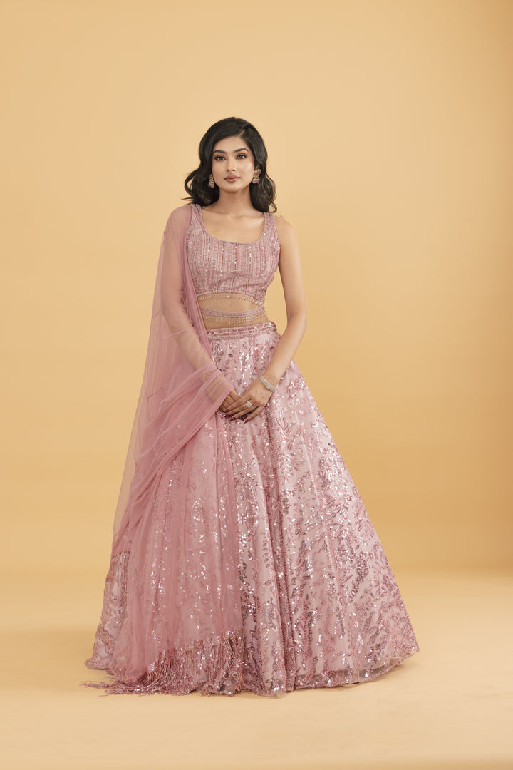 Pink net lehenga with sequins and pot embellishments