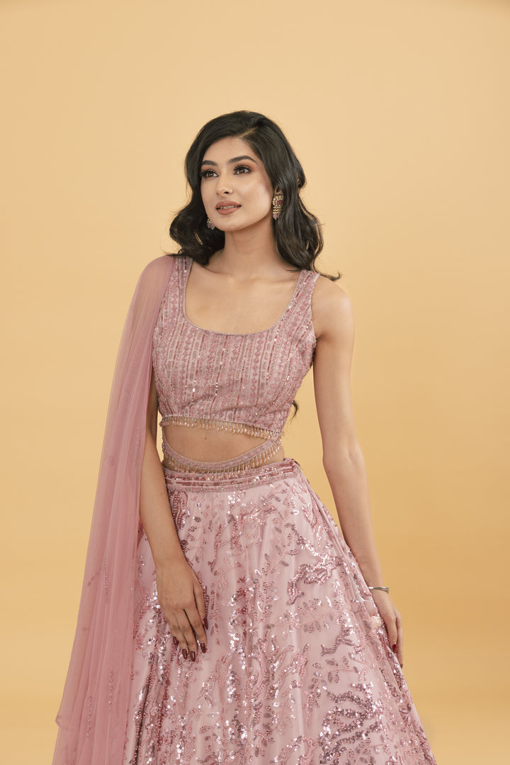 Pink net lehenga with sequins and pot embellishments