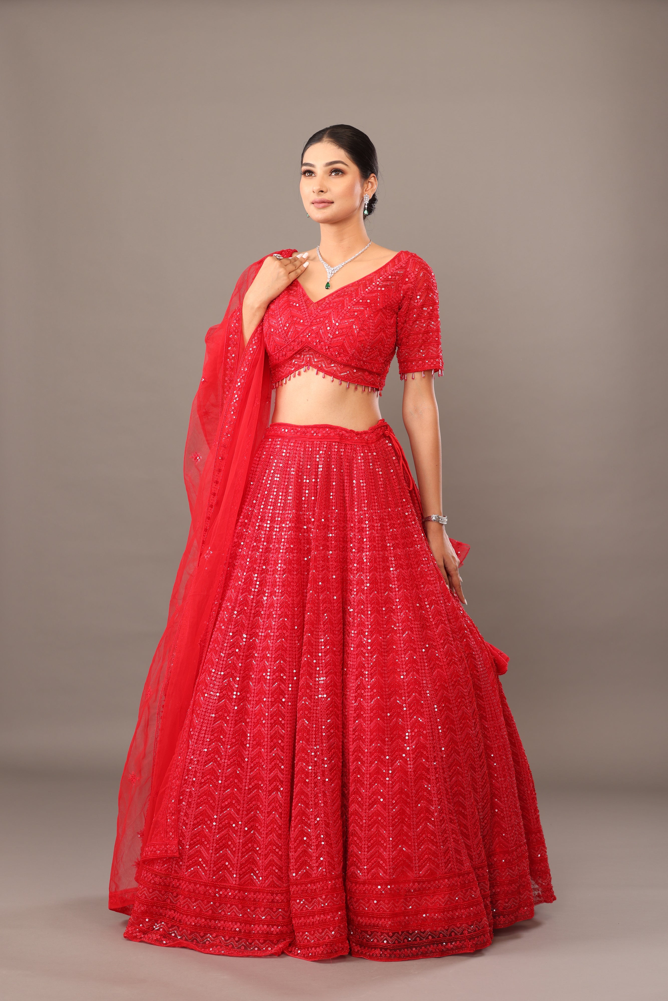 Red Net Lehanga with heavy work