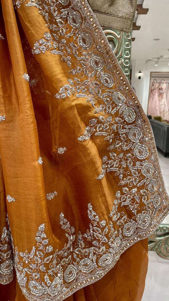 Rust Organza saree with zariwork