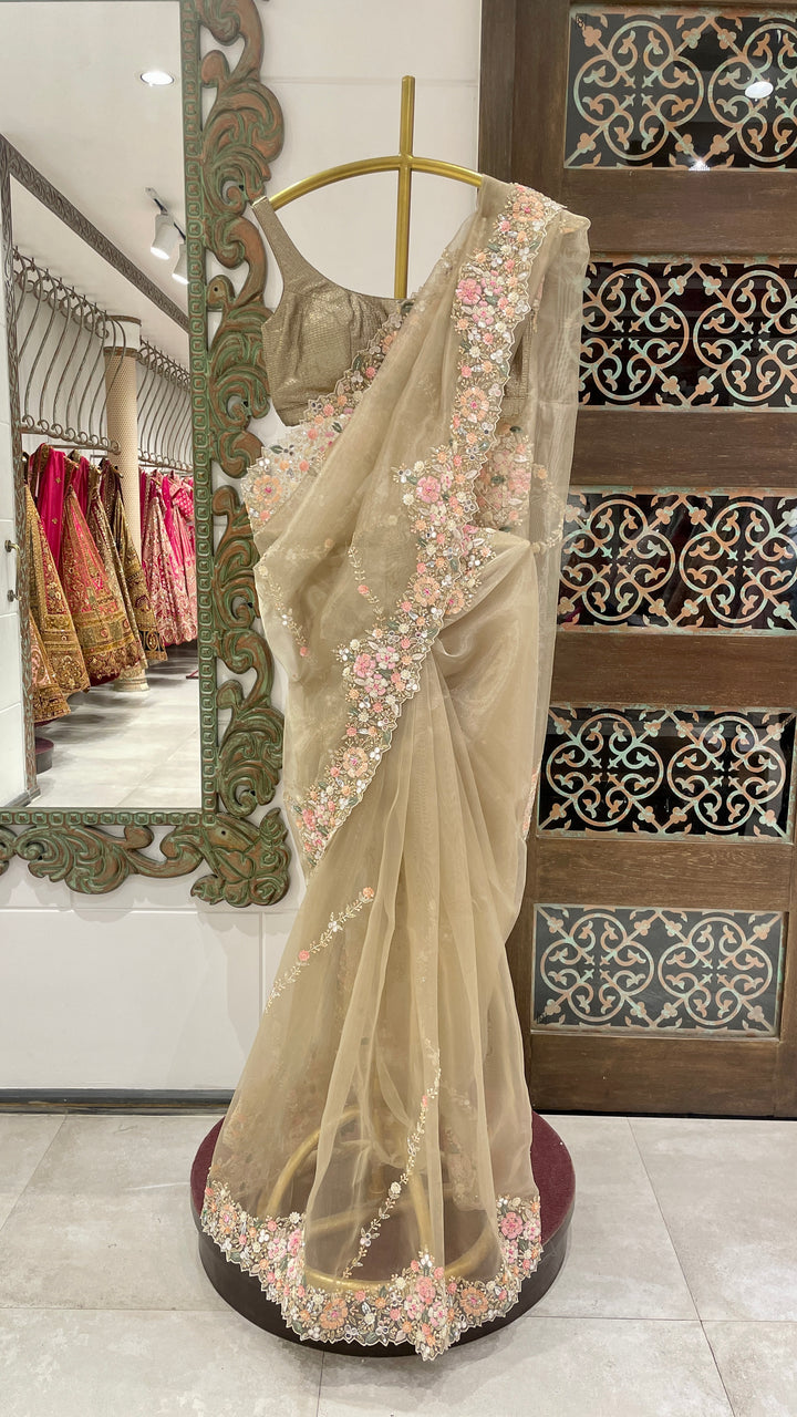 Beige tissue saree with embellishments