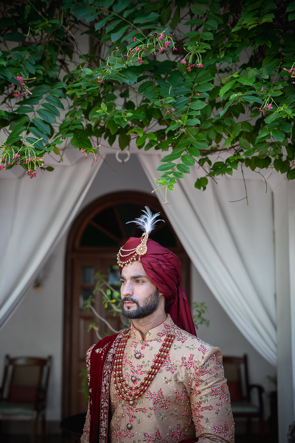 Raj wardhan Sherwani